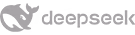 DeepSeek
